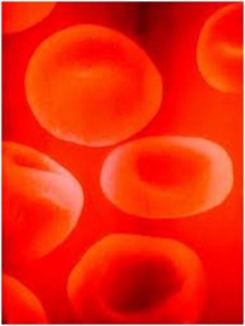 The socio-economic and policy impact of sickle cell disease