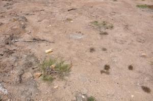 Antigua and Barbuda prolonged drought is cause for concern