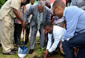 Jamaicans celebrate decriminalization of Ganja