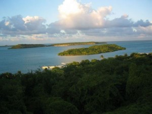 Antiguan tree-huggers protest Guiana Island development