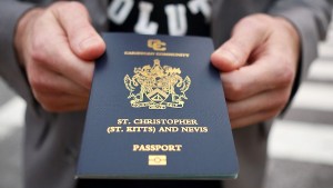 A passport to save the economy