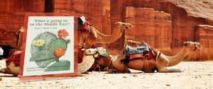 A must read – What is going on in the Middle East?