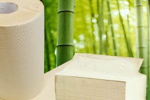 Bamboo Business In Jamaica’s Future