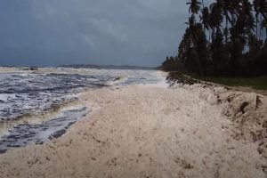 Is It Really Snowing In Trinidad Or What?