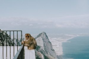 The Road To Gibraltar