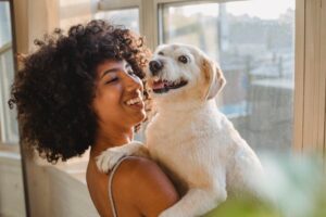Block Head Labrador vs. Traditional Labrador: Key Differences Explored